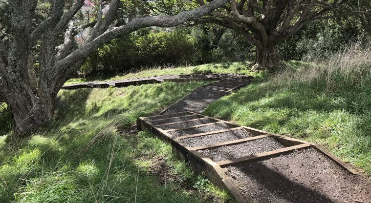 Te Kōpuke / Tītīkōpuke / Mt St John - Steps heading down the summit.