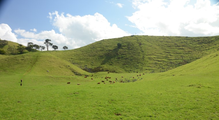 Te Pane o Mataoho / Te Ara Pueru / Māngere Mountain Path - View of the volcanic crater.
