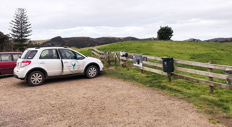 Te Toki Circuit Path - The path starts at the informal carpark at the top of Te Toki Reserve, on Wilma Road.