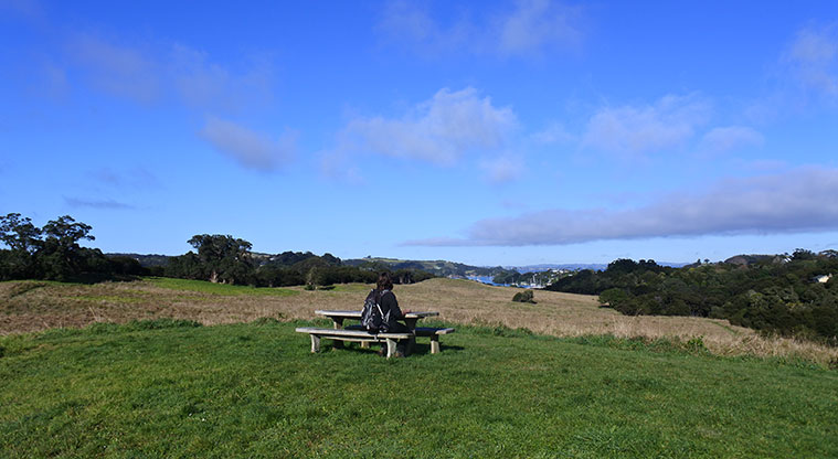 Te Toki Circuit Path - Head left past the picnic table with stunning views across Putiki.