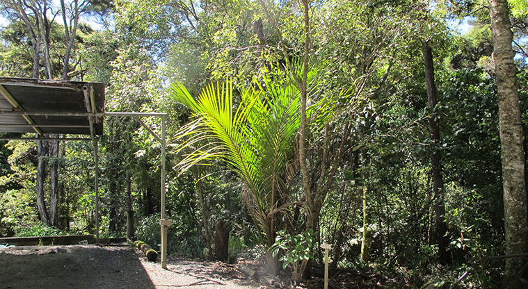 Three Streams Path - Path runs close to residential properties - stay on the track.