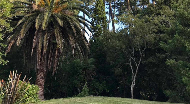 Three Streams Path - Lawn section adjacent to car parking.