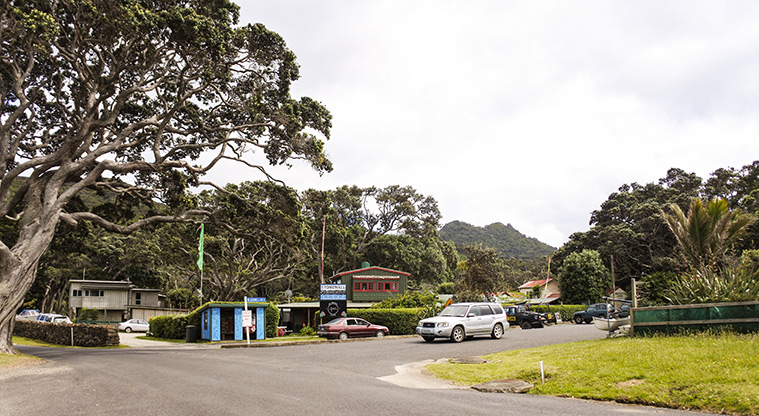 Tryphena Path - Walk start by the Stonewall Store, Pah Beach (First settlement coming from Medlands Beach).