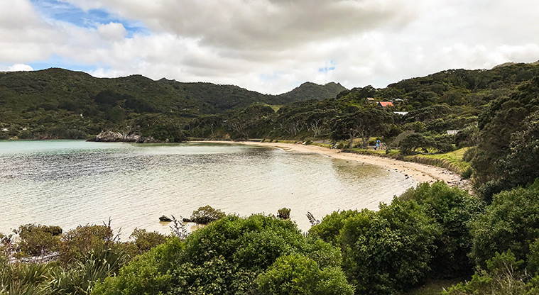 Tryphena Path - Nice views back across the beach from the stairs.