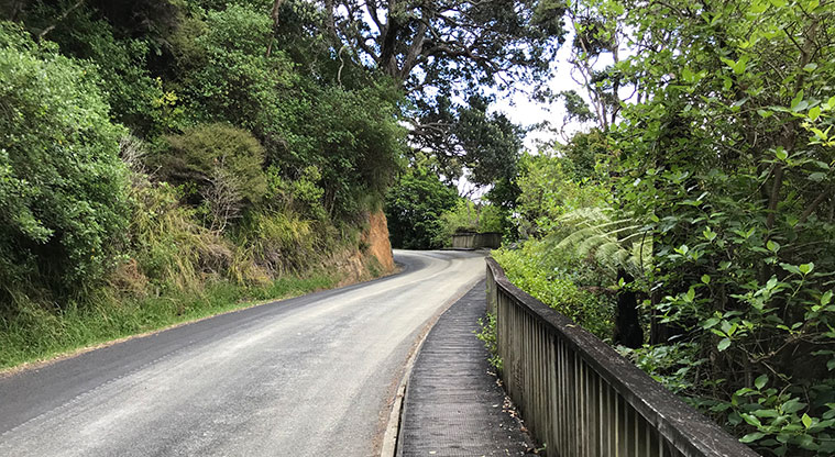 Tryphena Path - The walk around the headland to Mulberry Grove is safe.