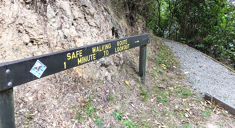 Tryphena Path - Take the detours where possible: safer and you see a lot more.