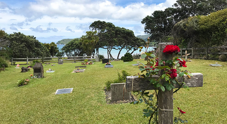 Tryphena Path - The first part of the cemetery is open, with great views back to the bay.