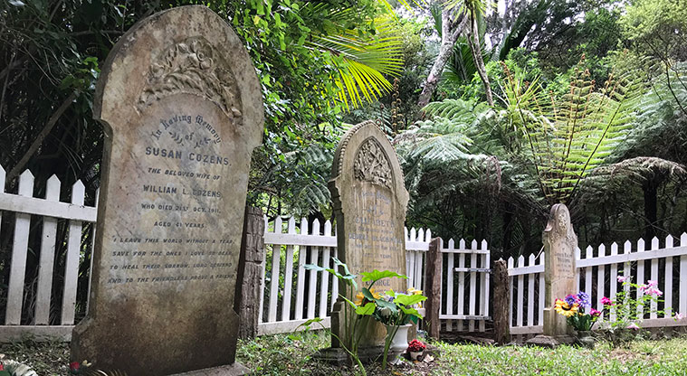 Tryphena Path - Settlers' graves at Gooseberry Flat cemetery, tucked away in the forest.