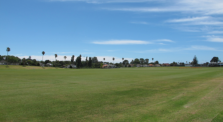 Tāmaki Path - Dunkirk Reserve sports fields.