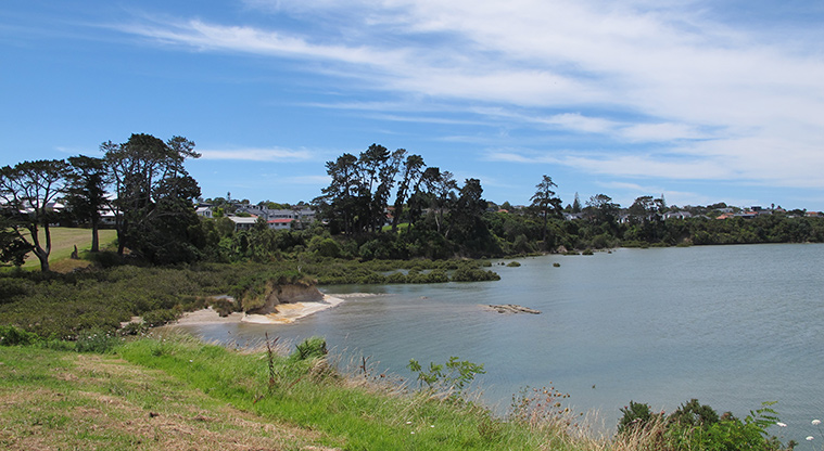 Tāmaki Path - Elevated views over Wai-O-Taiki Bay.