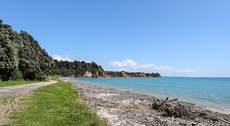 Tāpapakanga Coastal Path - View over Firth of Thames.