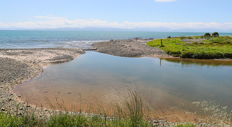 Tāpapakanga Coastal Path - You will need to cross a small part of the Tāpapakanga stream.