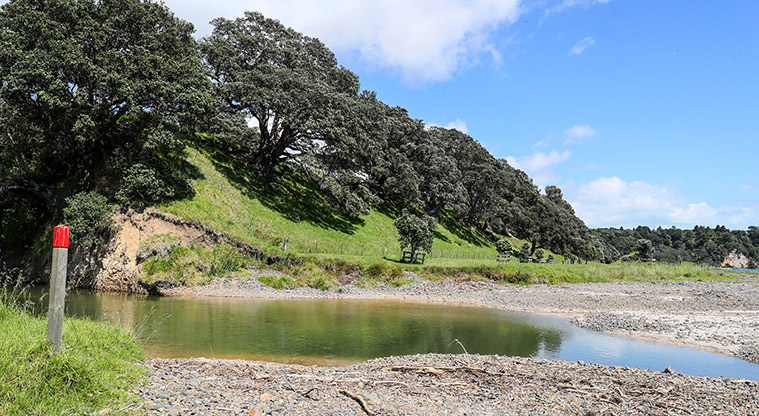Tāpapakanga Coastal Path - Once over the stream follow the red markers.