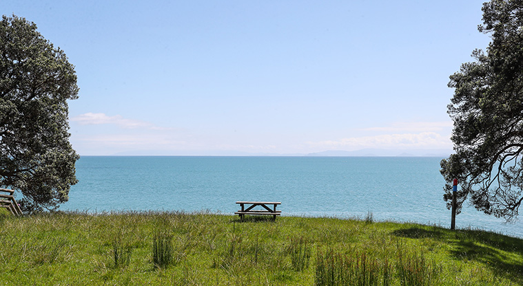 Tāpapakanga Historic Path - Great views and picnic spots.