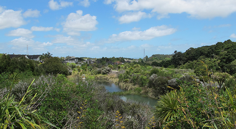Tōtara Bridle Path - Path around wetland pond.