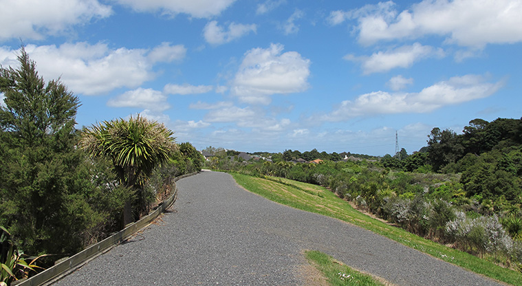 Tōtara Bridle Path - Typical section of the path heading towards Tōtara Park.