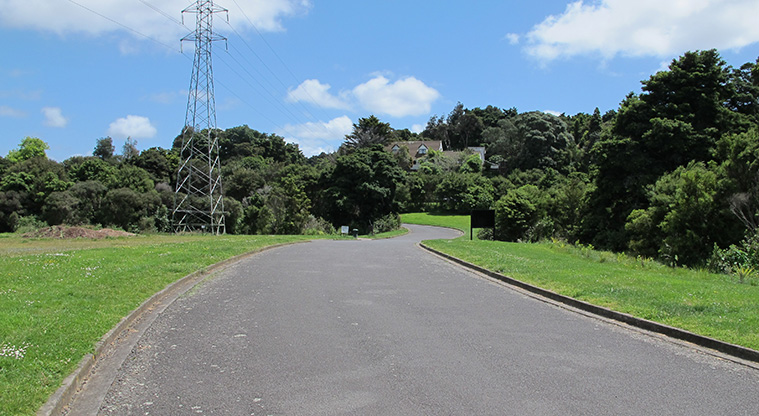 Totara Puhinui Creek Path - Last part of the path along an internal road.