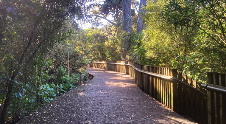 Unsworth to Rosedale Path - Concrete and boardwalk path that follows the creek through wonderful native bush and green fields.