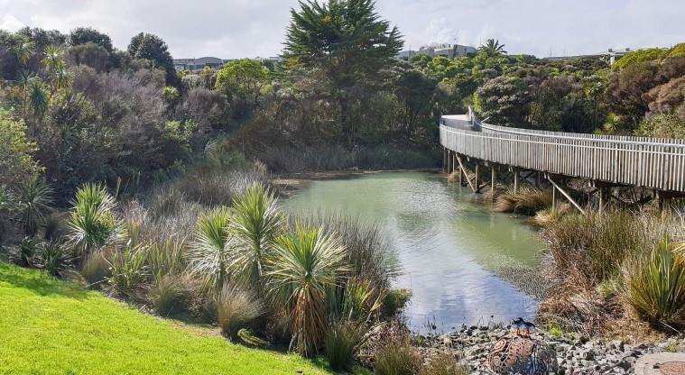 Unsworth to Rosedale Path - View of the boardwalk traversing a pond.