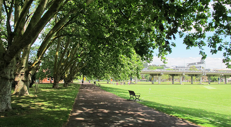 Victoria Park Path - Great shade on a warm day.