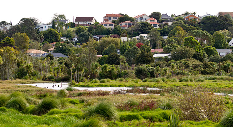 Waiatarua Path - View across wetland.