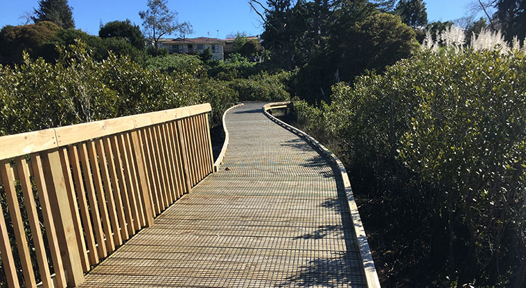 Waimahia Path - Follow the board walk through the mangroves.