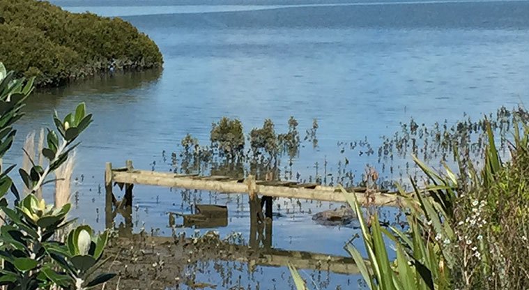 Waimahia Path - Overlooking the estuary.