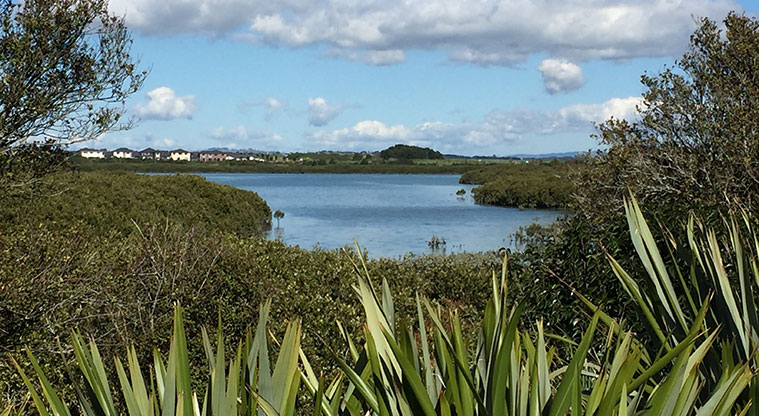 Waimahia Path - View over estuary from the path.