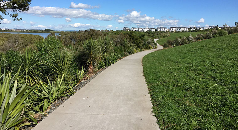 Waimahia Path - Typical section of concrete path.