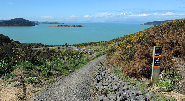 Waitawa Kererū Path - Views out to Pakihi Island