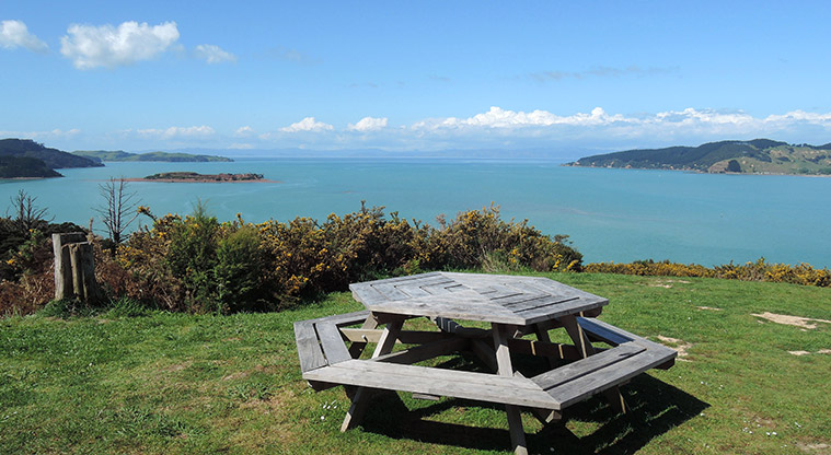 Waitawa Kererū Path - Picnic with great views over Waitawa Bay