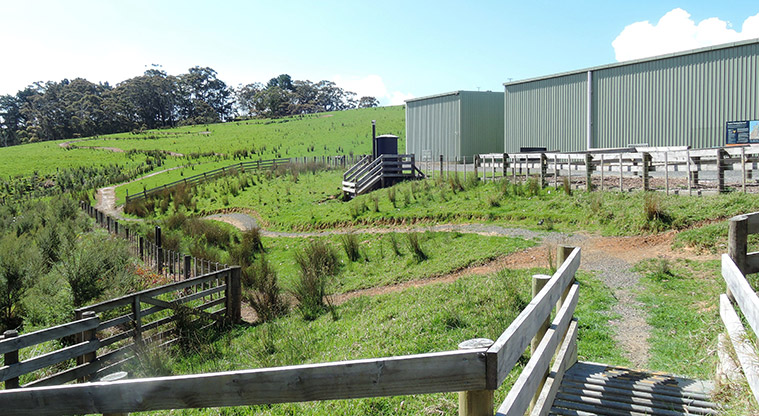 Waitawa Kererū Path - Path adjacent to farm buildings and stock pens