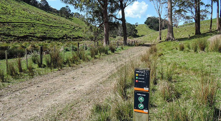 Waitawa Kererū Path - Follow farm track back to the beach