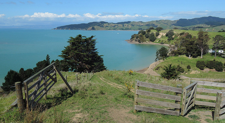 Waitawa Kererū Loop