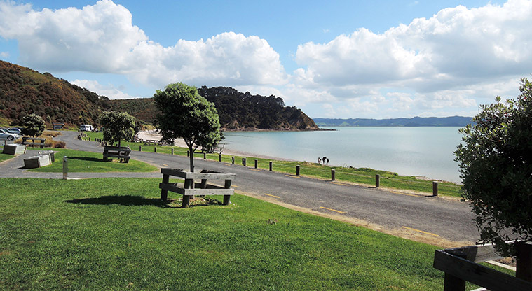 Waitawa Kotare Path - Beach adjacent to toilet and parking area.