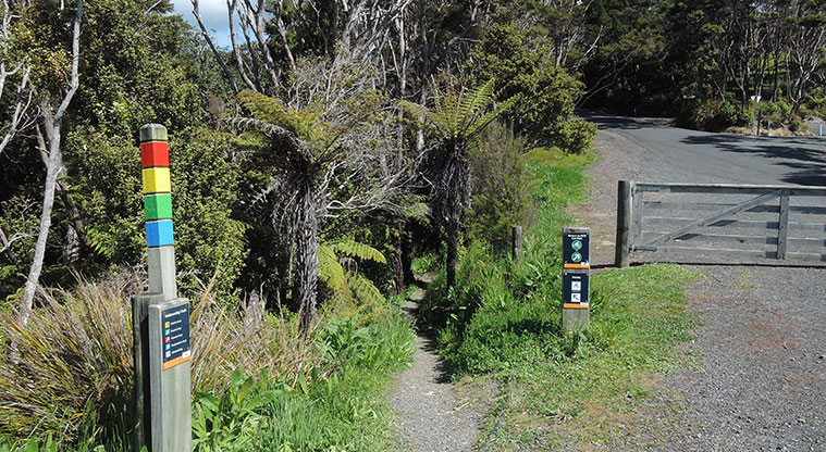 Waitawa Kotare Path - Keep following the yellow markers.