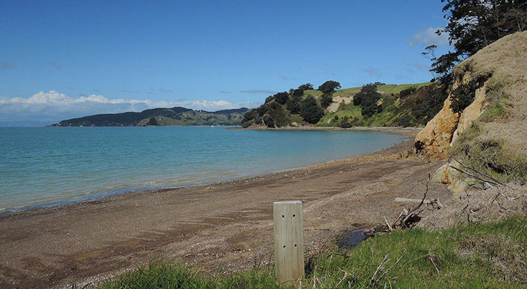 Waitawa Kotare Path - Great views down the coast to Orere Point.