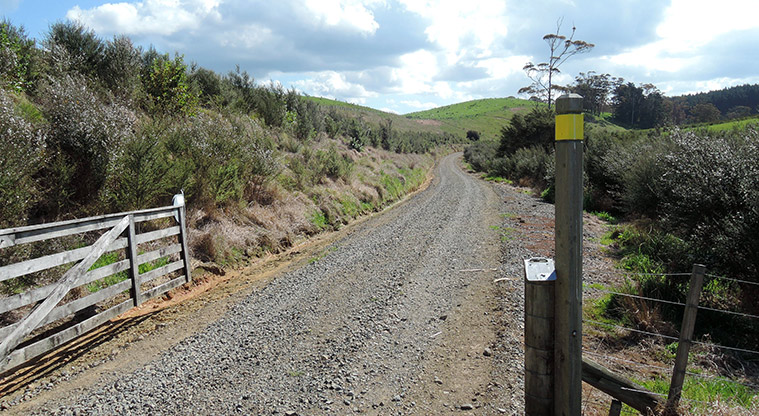 Waitawa Kotare Path - Follow the yellow markers on the farm access.