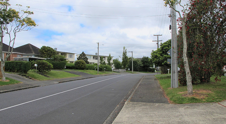 Waterview Heritage Path - Head down Saxon Street