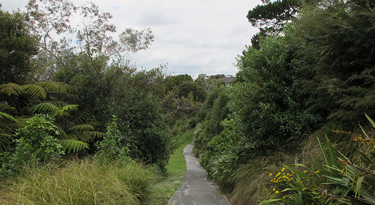 Waterview Heritage Path - There are some undulating sections of the path.