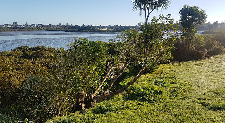 Wattle Downs North Path - Views across the water of the Weymouth residential area.
