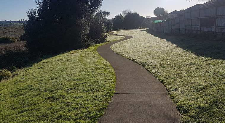Wattle Downs North Path - Typical section of the path.