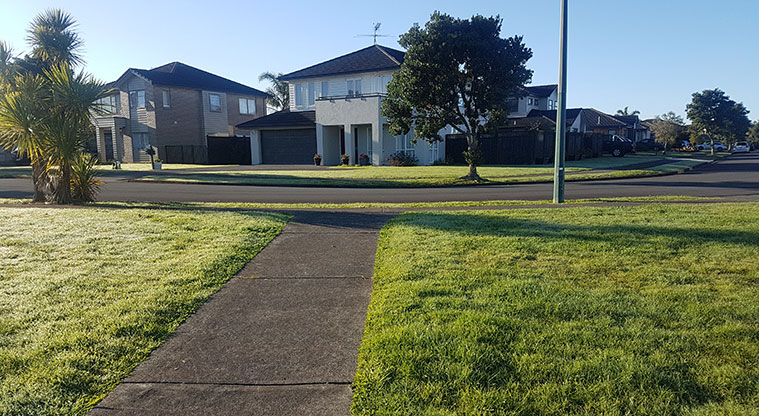 Wattle Downs North Path - Access from Ellie Place.