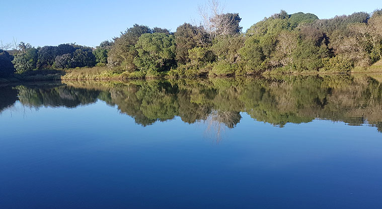 Wattle Downs North Path - Great views when tide is in.