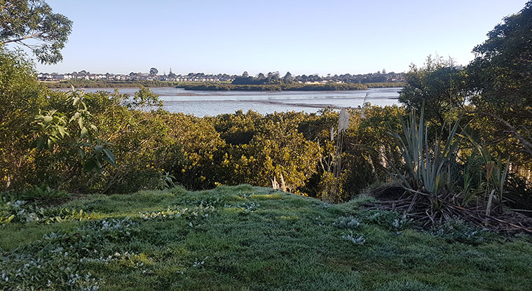 Wattle Downs North Path - Plenty of views over the estuary.