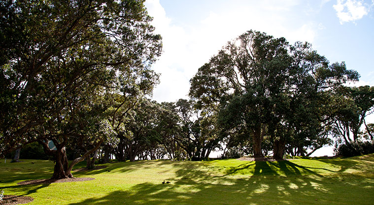 Wenderholm Te Akeake Path - Stroll through the grass parkland