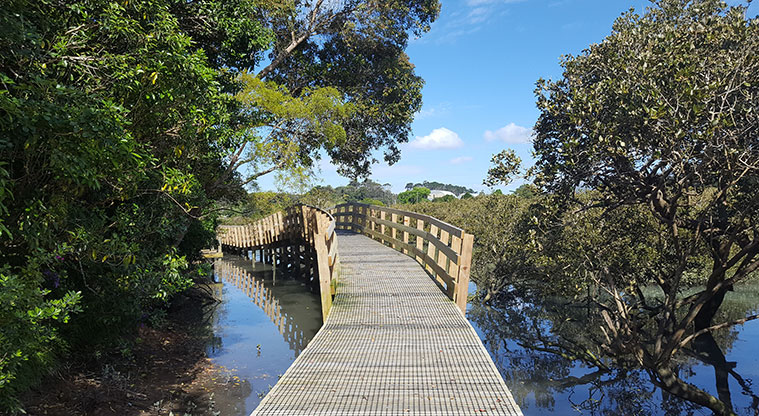 Weona-Westmere Path - Boardwalk section of the path.
