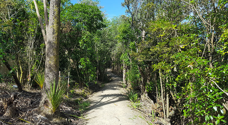 Weona-Westmere Path - Path through Lemington Reserve.