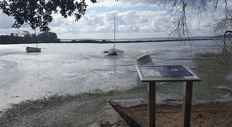 Weona-Westmere Path - View from path over upper Waitemata Harbour.