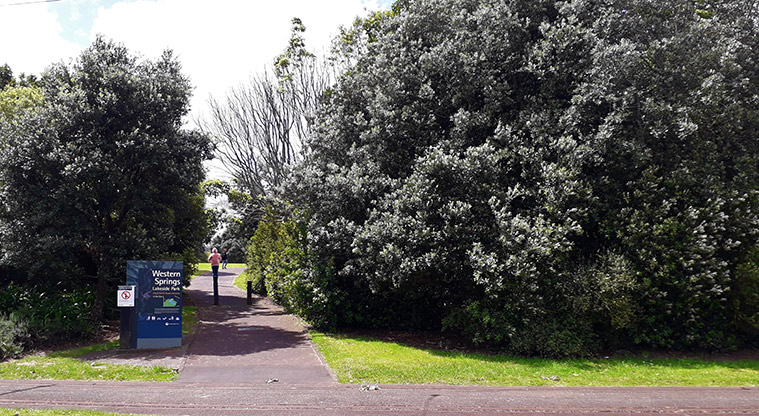 Western Springs Loop Path - Path start watch for trams when crossing the tracks.